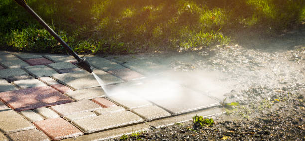 Best Animal Enclosure Cleaning  in Indian Shores, FL